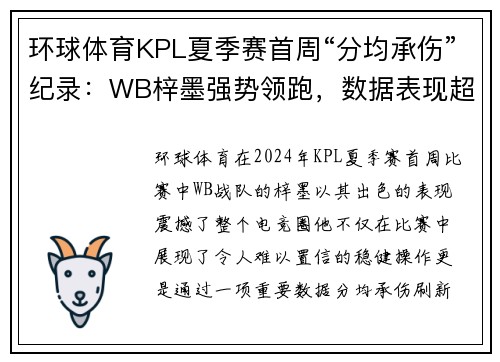 环球体育KPL夏季赛首周“分均承伤”纪录：WB梓墨强势领跑，数据表现超群 - 副本